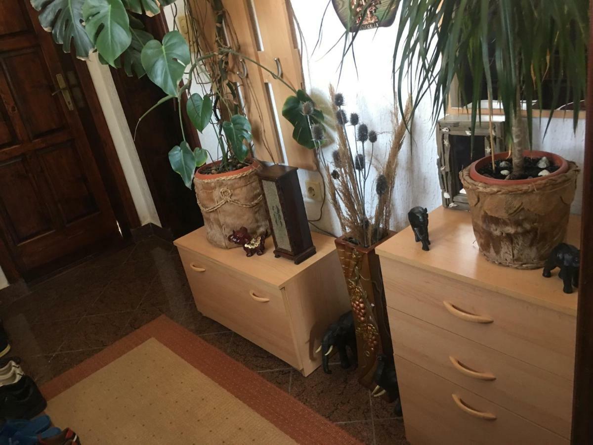 Apartmani Miljana Bar Buitenkant foto